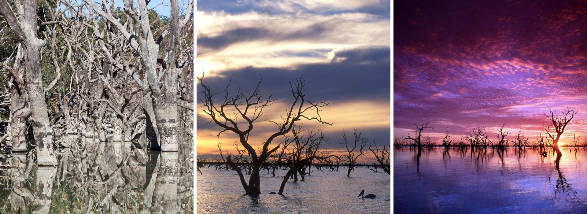 Menindee Lakes Outback NSW
