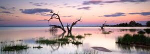 Menindee Lakes Outback NSW